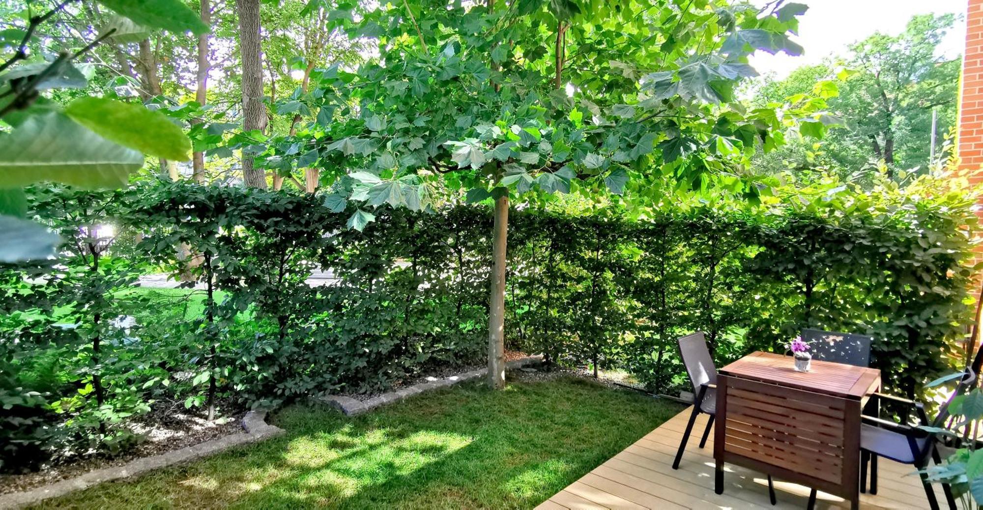 City Garden Apartment วรอตซวาฟ ภายนอก รูปภาพ